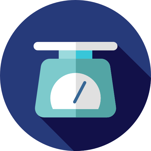 Scale icon