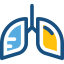 Lungs icon 64x64