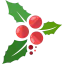 Mistletoe ícone 64x64