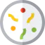 Petri dish іконка 64x64