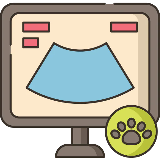 Ultrasound Ikona