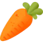 Carrot icon 64x64