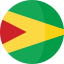 Guyana Symbol 64x64