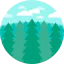 Spruce icon 64x64