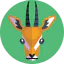 Antilope icon 64x64