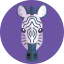 Zebra Ikona 64x64