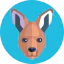 Coyote icon 64x64