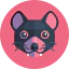 Tasmanian devil icon 64x64