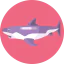 Shark Ikona 64x64