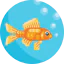 Goldfish 图标 64x64