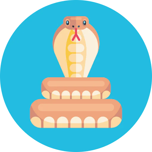 Snake biểu tượng