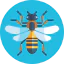 Bee icon 64x64