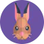 Bunny icon 64x64