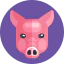 Pig 图标 64x64