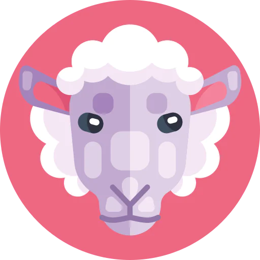 Sheep 상