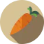 Carrot icon 64x64