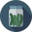 Pickles icon 64x64