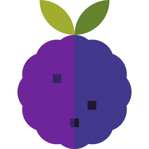 Blackberry ícono