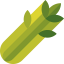 Celery icon 64x64