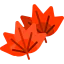 Leaves biểu tượng 64x64