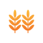 Wheat biểu tượng 64x64