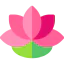 Lotus icon 64x64
