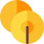 Cymbal icon 64x64