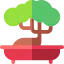 Bonsai Ikona 64x64