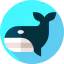 Whale icône 64x64