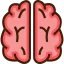 Brain 图标 64x64