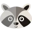 Racoon icon 64x64