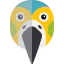 Parrot icon 64x64