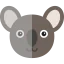 Koala icon 64x64