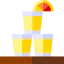 Tequila shot icon 64x64