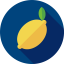 Lime icon 64x64