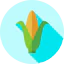 Corn icon 64x64