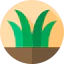 Grass Symbol 64x64