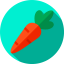 Carrot アイコン 64x64