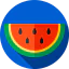 Watermelon Symbol 64x64