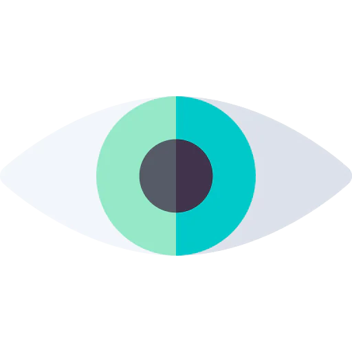 Vision icon