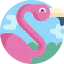 Flamingo icon 64x64