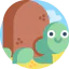 Turtle icon 64x64