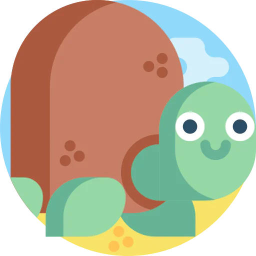 Turtle icon