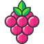 Razz berry ícono 64x64