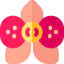 Орхидея иконка 64x64