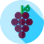 Grapes icon 64x64