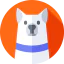 Siberian husky іконка 64x64