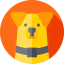 Corgi icon 64x64