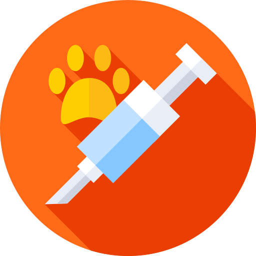 Injection icon
