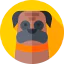 Great dane icon 64x64